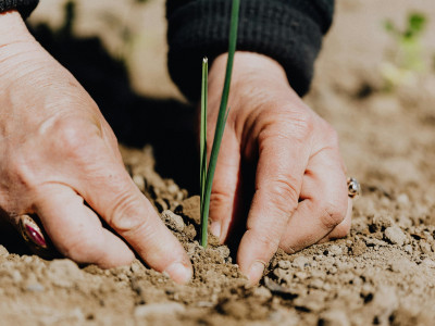 Agronomia e Agronegócio