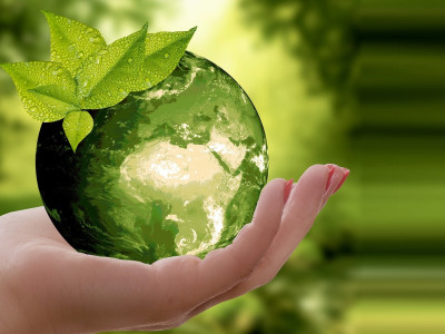 Meio Ambiente e Sustentabilidade