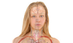 Gestão e Técnicas de Análises Clínicas Gestão e Técnicas de Análises Clínicas