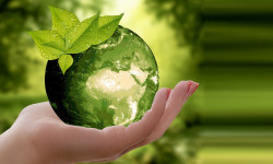 Direito Ambiental Internacional Direito Ambiental Internacional